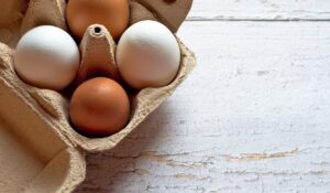 egg